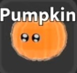 Питомец Pumpkin Pumpkin